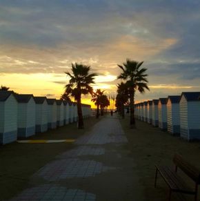 NearBy Hotel