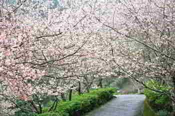 صورة الفندق 10