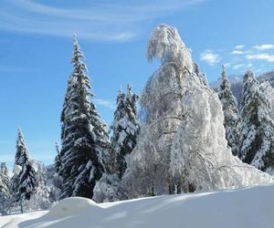 Serrecheholidays La Salle les Alpes France