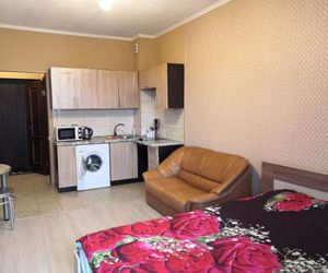 Apartment-studio on Frunze 2 Tver Russia