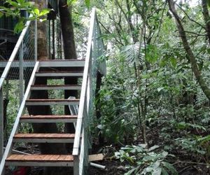 The Green Tree B&B Monteverde Costa Rica
