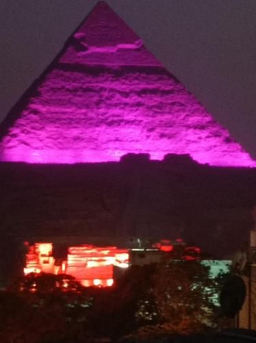 صورة الفندق 21