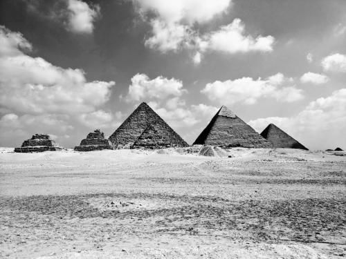 صورة الفندق 8