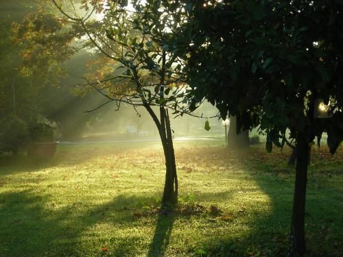 صورة الفندق 21