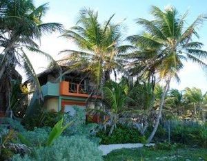 Nueva Vida de Ramiro Tulum Mexico