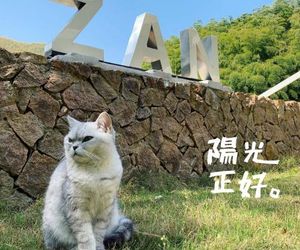 Moganshan Zan Olina Resort Moganshan China