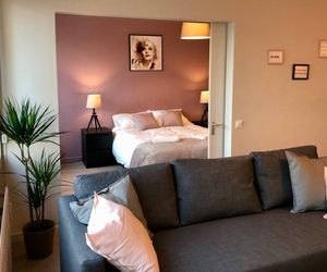 La Vie en Rose - Appartement Centre Gares Lille France