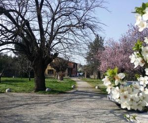 Albero Cavo Parma Italy