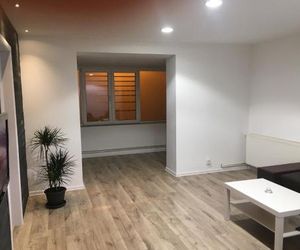 Economy Apartment City Center Pitesti Romania