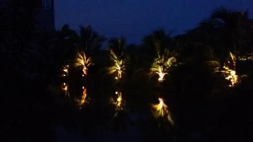 صورة الفندق 21