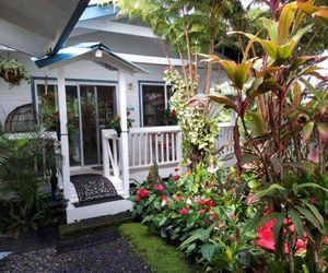 Anthurium Hale Hilo United States