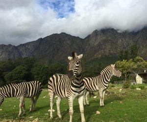 Franschhoek Country Cottages Franschhoek South Africa