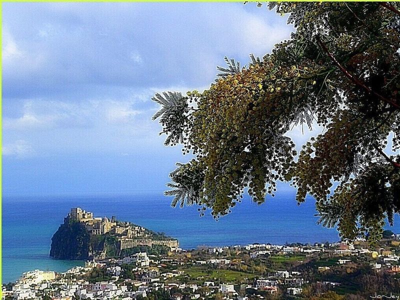 صورة الفندق 3