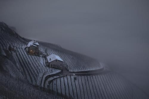 صورة الفندق 24