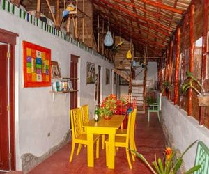 Hostel La Ballena Backpacker Las Galeras Dominican Republic