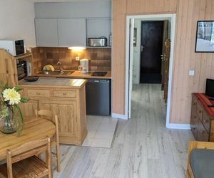 Apartment Maxi studio 6 pers. centre station Forest des Baniols France