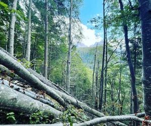 Bilocale mansardato in centro Pinzolo Italy