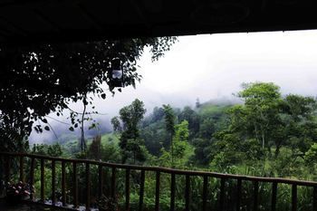 صورة الفندق 15