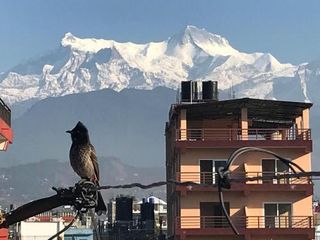 Hotel pic Experience Tibetan rooms