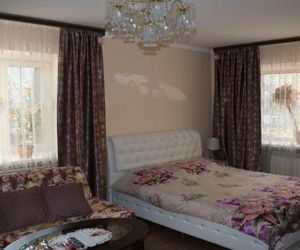 Apartment on Elizarovykh 45 Tomsk Russia