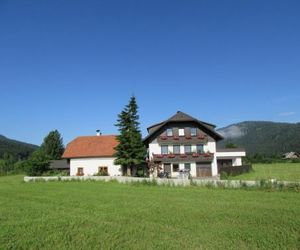 Ferienhaus Santner Tamsweg Austria