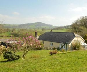 Bryn Hebog Carmarthen United Kingdom