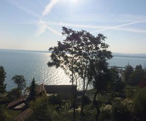 TIHANY (BALATON), BEST VIEW, SPACIOUS WELLNESS, CENTRAL , 50m BEACH Tihany Hungary