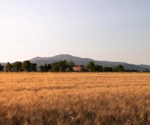 Agriturismo Il Pescinone Venturina Italy