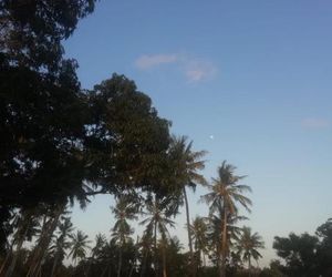 Eagle Camp Mida Creek Watamu Kenya