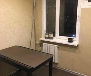 Garkavy apartment Strelna Russia