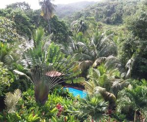 Ti Plèn Kréol Baille-Argent Guadeloupe