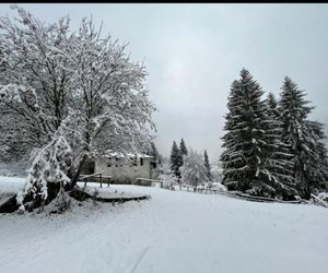 Anna Maria GARDEN Mezzana Italy