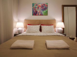 Stunning apartment near Cathedral of the Savior on the Spilled Blood