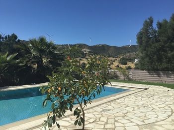صورة الفندق 5