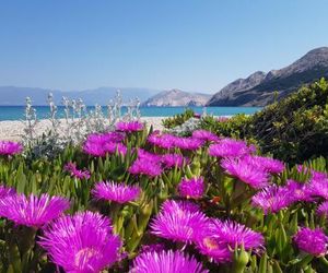 Mohar Baska Croatia