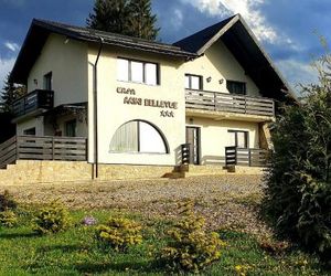 Casa Arini Bellevue Vatra Dornei Romania