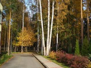 Апартаменты с садом Павловск