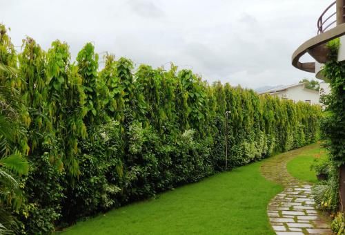 صورة الفندق 4
