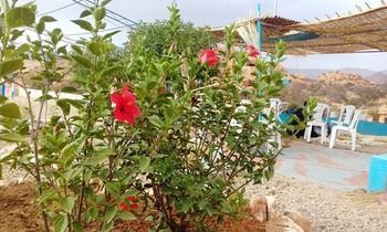 صورة الفندق 14