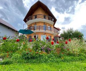 Villa Tamara Bran Romania