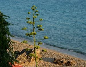 Stavento Apartments Lassi Greece