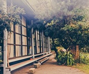 Alishan Hamoana Starry Tent Fanlu Taiwan