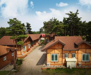 Pine Scent House - Fruit Sokcho South Korea