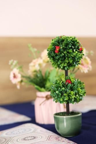 صورة الفندق 24
