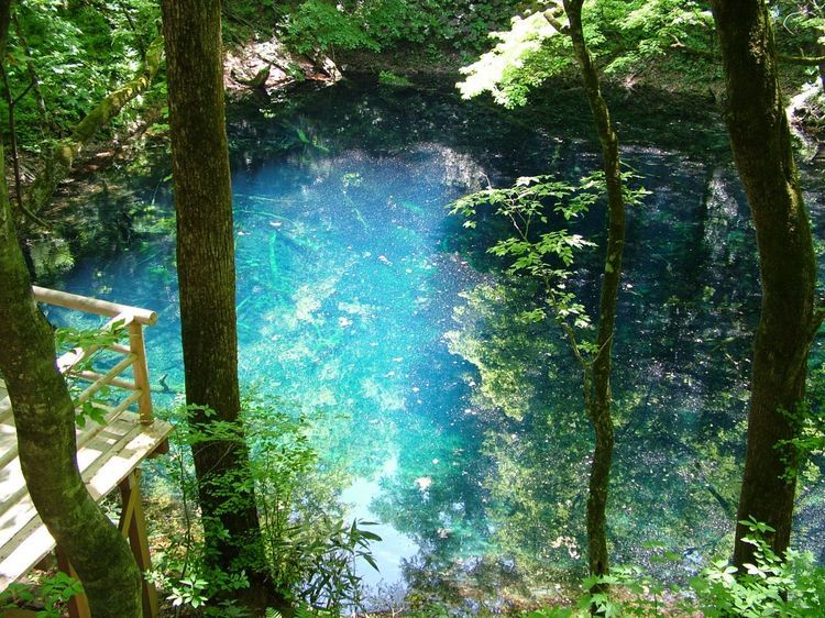 صورة الفندق 2