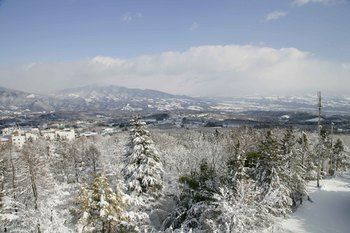 صورة الفندق 21