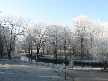 صورة الفندق 3
