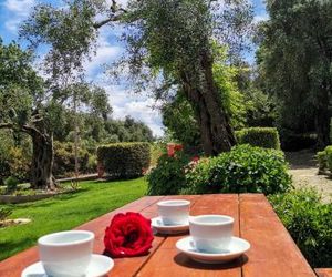 Ilias Apartments Dassia Dassia Greece