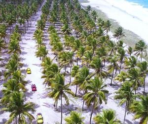 Pousada da Mônica Porto de Galinhas Brazil