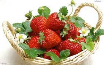 صورة الفندق 16